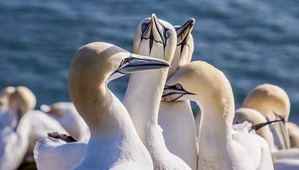 开云官方网站：开启数字生活的新入口